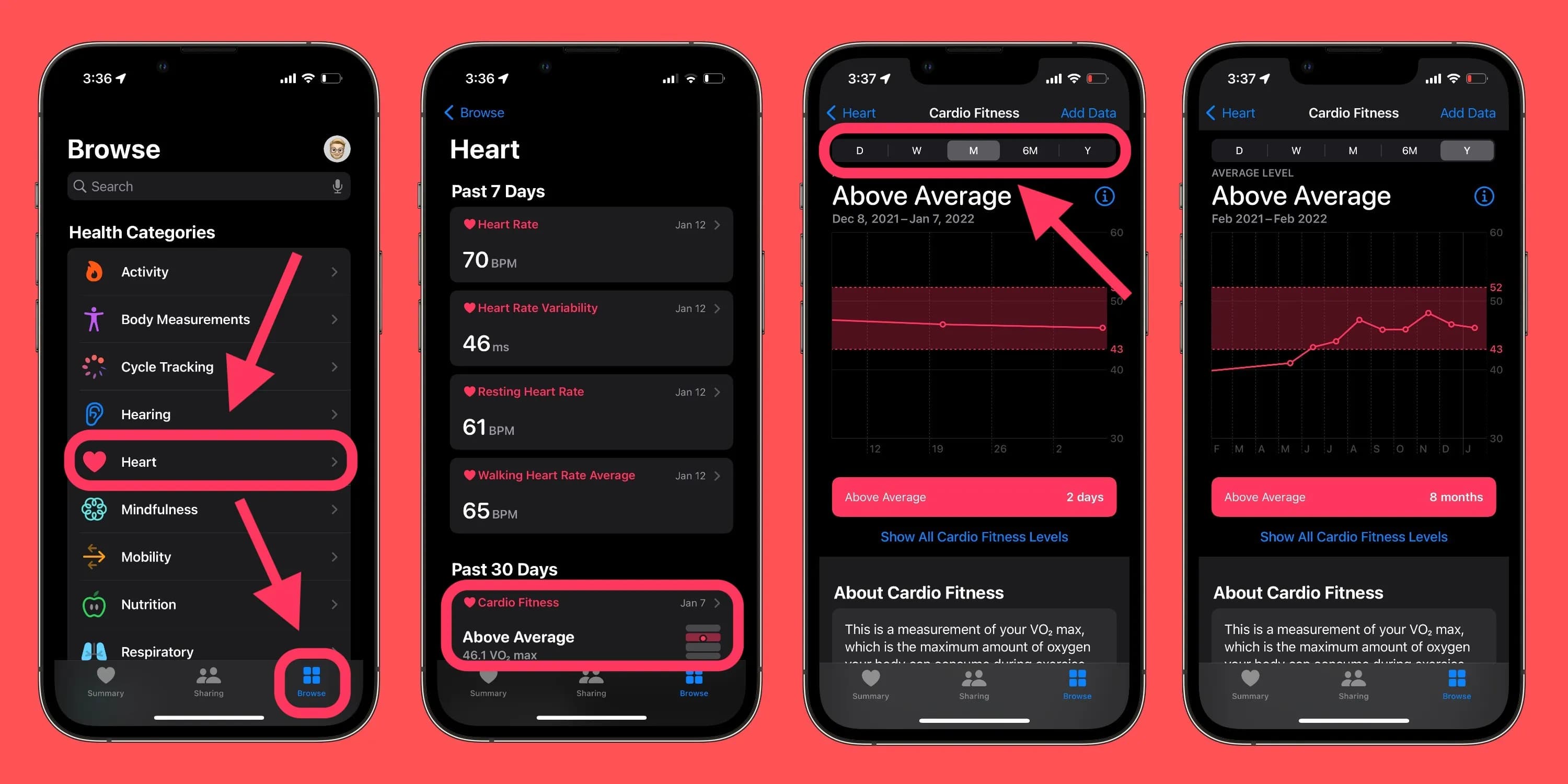 From Sidelined to Streamlined: Decoding My Apple Watch Metrics (Part 1)